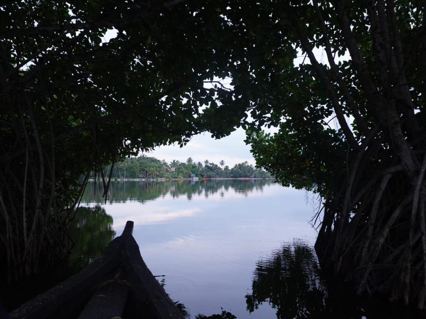 Bliss Homestay Munroe Island Mundrothuruth Экстерьер фото