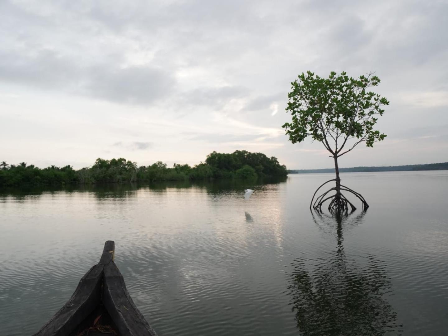 Bliss Homestay Munroe Island Mundrothuruth Экстерьер фото