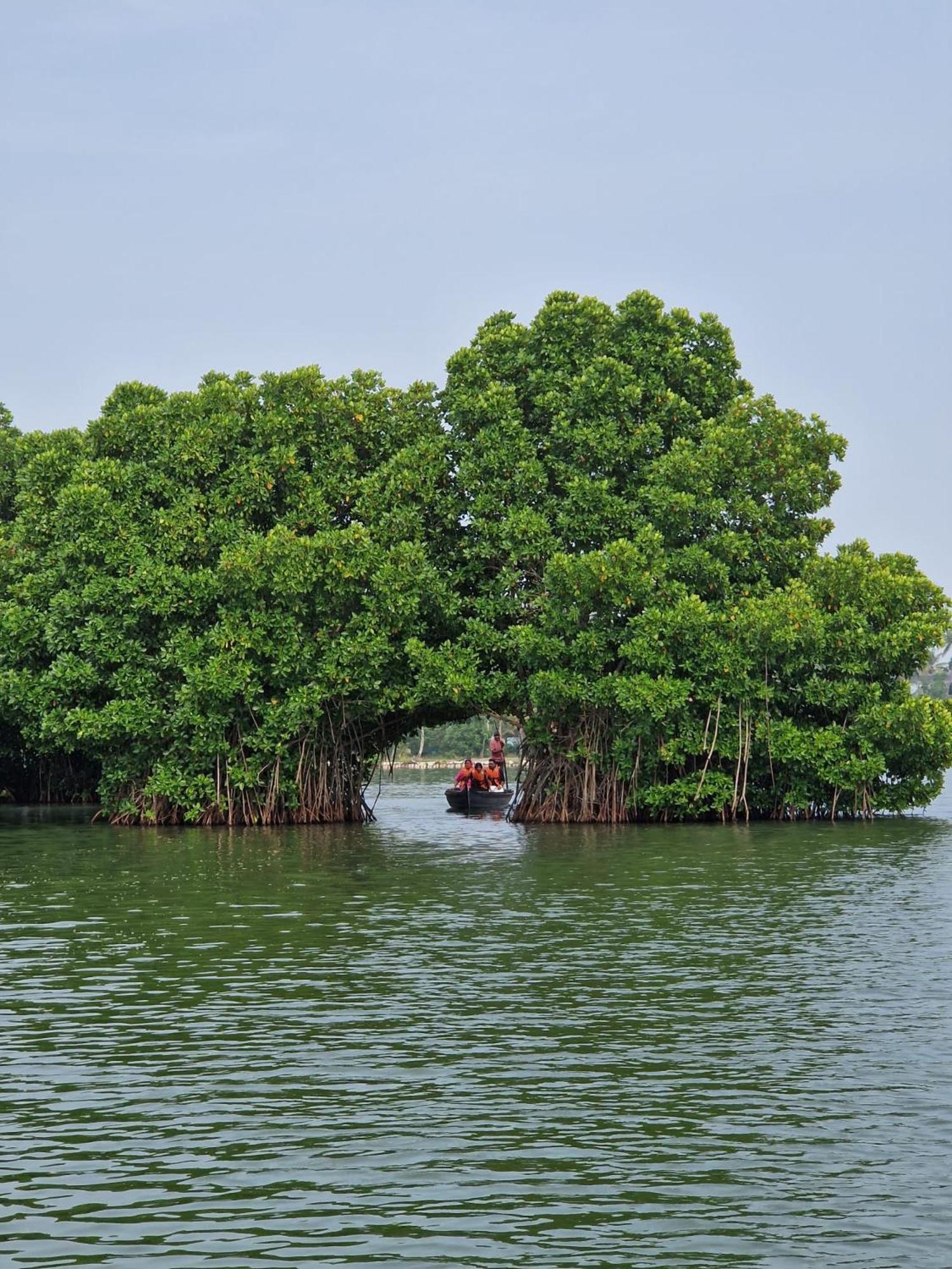 Bliss Homestay Munroe Island Mundrothuruth Экстерьер фото