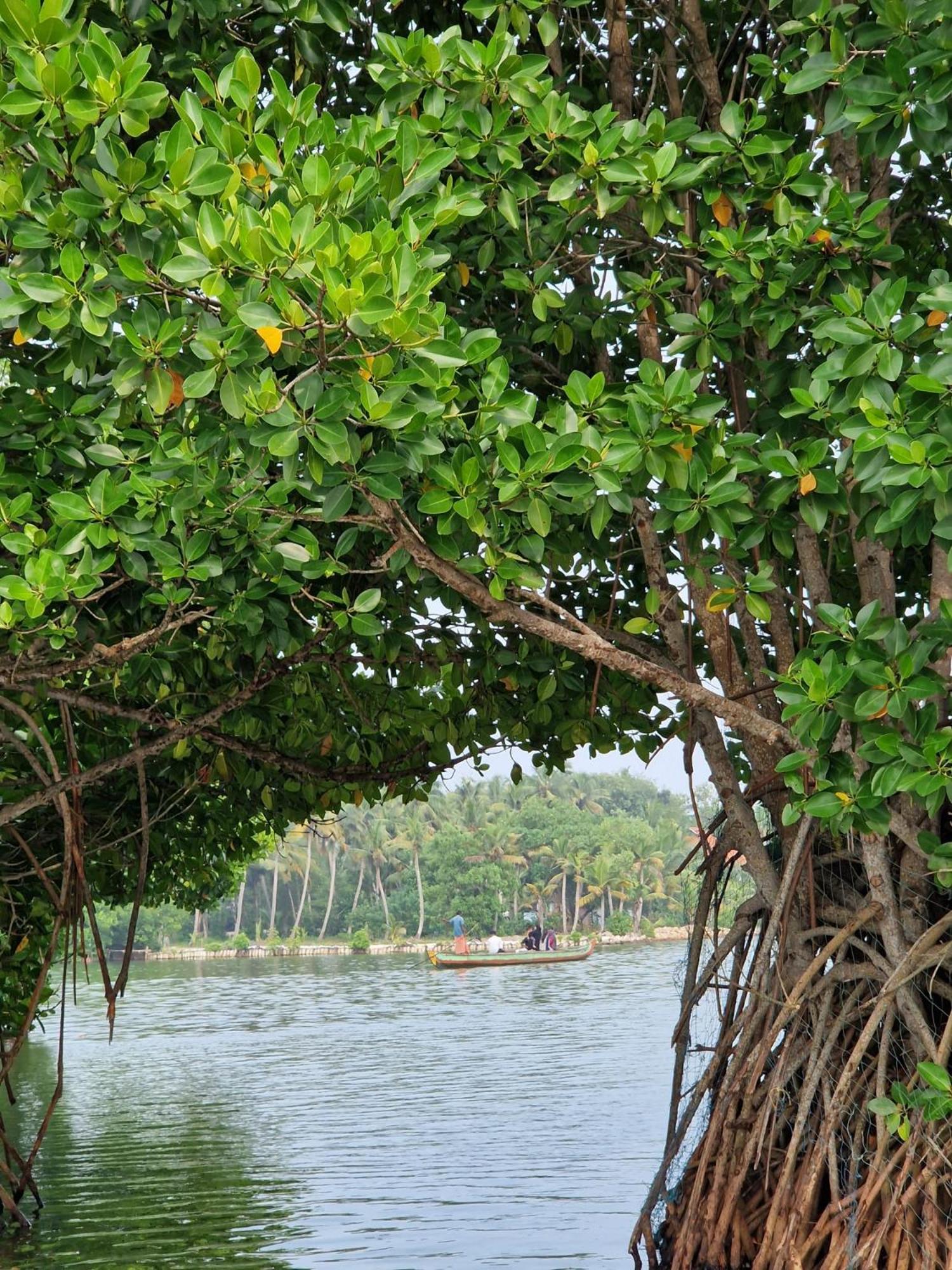 Bliss Homestay Munroe Island Mundrothuruth Экстерьер фото