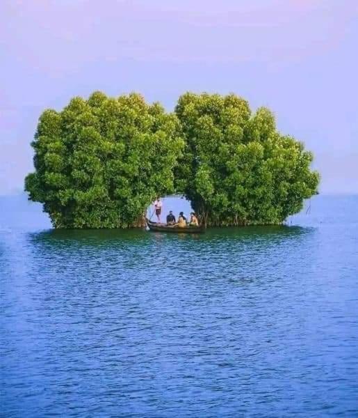 Bliss Homestay Munroe Island Mundrothuruth Экстерьер фото